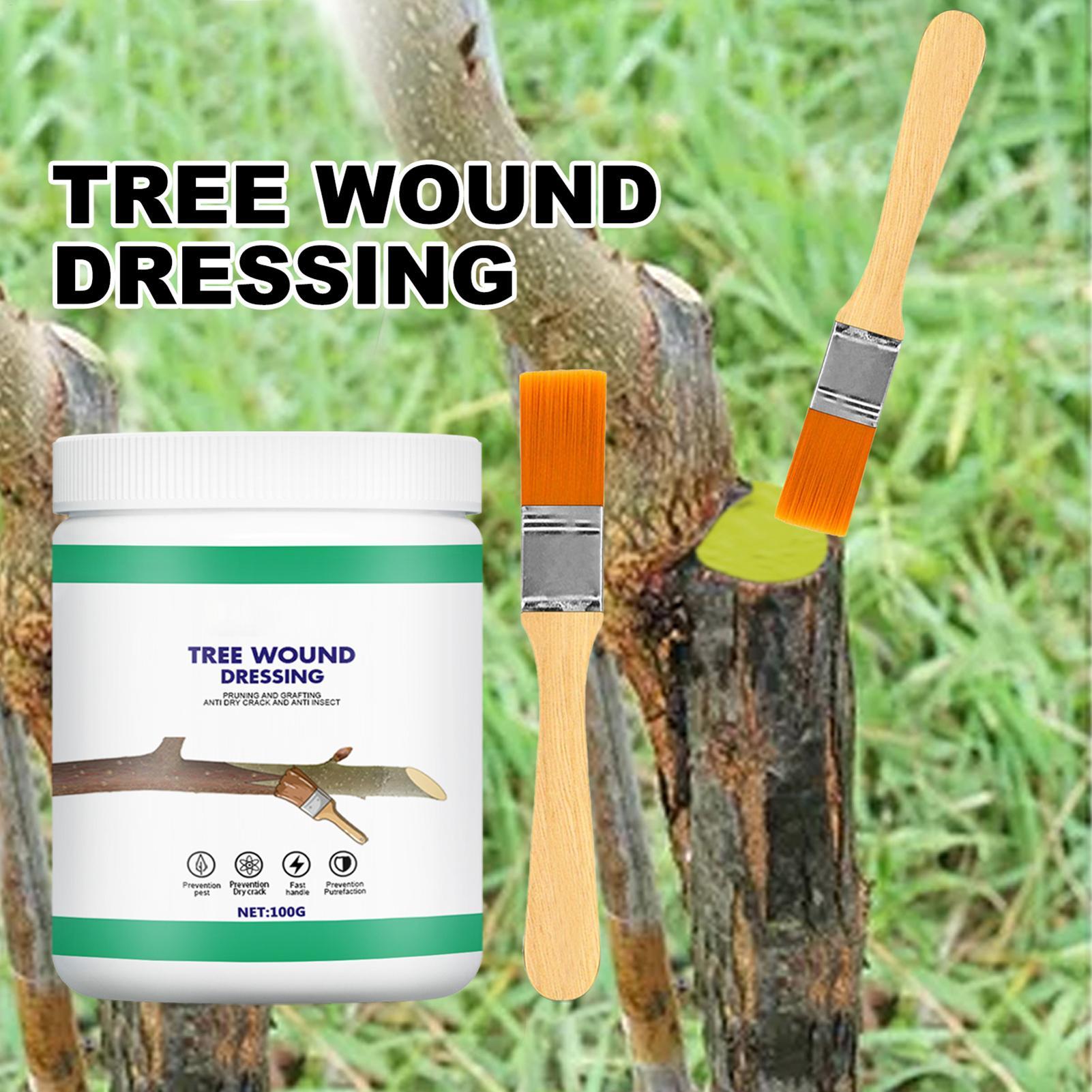 Pruning Sealer 100g Protective - đánh giá và giá Paint Brush