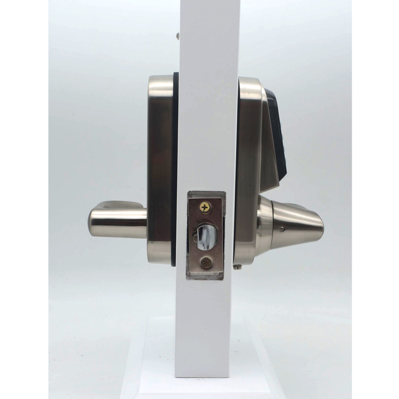 High Quality Zinc Alloy Handle - đánh giá và giá Door Lock